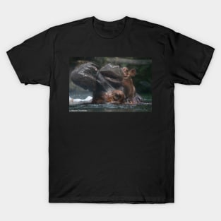 Hippo Play T-Shirt